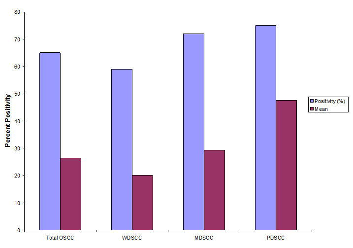 Figure 2: Expression of p53 in oral SCC’s in tobacco and betel quid chewers.