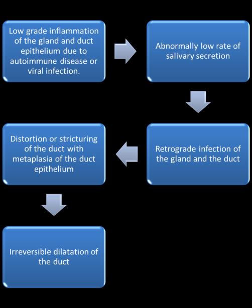 Figure 5: Irreversible dilatation of the duct.