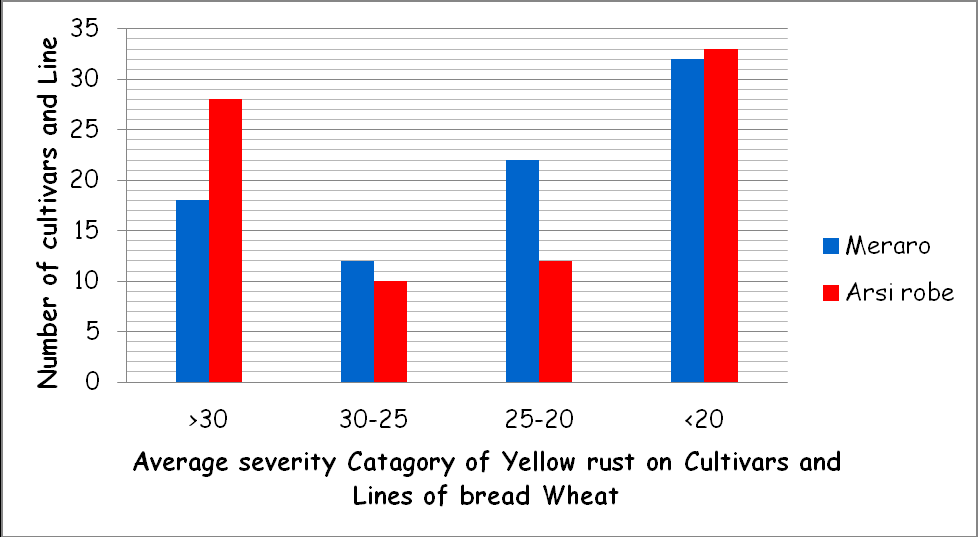Figure 1: Commercial cultivars & advanced line of bread wheat evaluated in Arsi- robe and Meraro and their Average Severity Level 2014-2016.