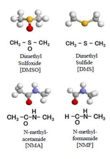 Figure 1: Chemical structures of (A) DMSO, (B) DMS, (C) NMA, and (D) NMF. Models were created using RasMol. The lone pair electrons in the sulfinyl group [-S(O)-] in DMSO, as well as the release of oxygen (oxidation) in the transition from DMSO to DMS, may lead to cytotoxicity. N-methylacetamide (NMA; H3C-C(O)-N(H)-CH3; Figure 1) is yielded by replacement of the sulfinyl group [-S(O)-] in DMSO with an amide group [-C(O)-N(H)-]. Because 6C,