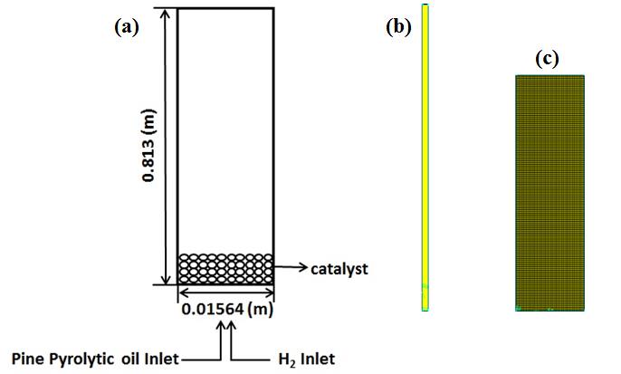 Figure 1: (a) Schematic representation of upflow packed bed reactor; (b) Meshed entire reactor; and (c) Zoomed portion of the meshed reactor. where Ws is the weight of the solid throughput to the reactor, ρ_c_ is the density of the catalyst particles, Ac is the cross sectional area of the reactor and h is the height of the reactor. Pine pyrolytic oil, and H2 gas are introduced from the inlet section of the reactor in a vertically upward direction through the fixed bed solid catalyst particles. At the bottom of the reactor, the inlets are fed with two fluids (bio-oil, and H2 gas) moving in the upward direction. In bio-oil liquid phase, five lumped species namely HNV, LNV, phenol, alkane, and aromatics are considered. This lumping of the bio-oil compounds is due to the fact that bio-oil upgradation process has several reactions amongst hundreds of its compounds in the presence of H2 and a catalyst. The model components of these lumped species, their initial mass fractions in unprocessed bio-oil, and thermo-physical properties of all three phases are adopted from the literature and a summary is presented elsewhere [21,22], hence are not repeated herein. In this study the gas phase is treated as primary phase, bio-oil phase as the secondary phase and solid catalyst particles as tertiary phase. The detailed list of flow rates pertained to different catalysts loads (20g, 60g and 100g) for various values of WHSV are presented in Table 1. The weight hourly space velocity in this work is defined as follows: