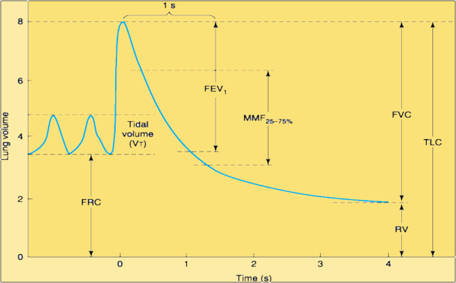 Figure 4: Peak Expiratory Flow Rate.
