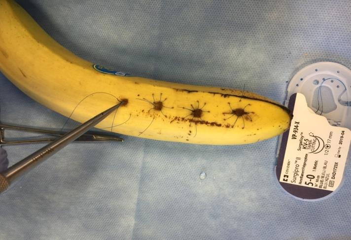 Figure 2: The completed task using 5/0 prolene suture.