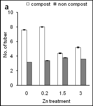 Figure 5: Effects of Zn on numbers of tuber of sweet potato in the presence of compost (open bars) and absence of compost (closed bars). Effects of Zn on weight of tuber of sweet potato in the presence of compost (open bars) and absence of compost (closed bars). Error bars indicate standard deviation with 5 replicates. In addition, compost application significantly increased numbers of tuber in 0.2 ppm of Zn- treated plants than other Zn- treated plants. These results indicate that compost-induced numbers of tuber production was differed by different Zn concentrations (Figure 5a). Figure 5a also shows that lower concentration of Zn (0.2 ppm) showed better results than higher concentrations of Zn (1.5 and 3 ppm). Consistently, Zn- induced weight of tuber of plants was consistent with a number of tubers per plants in the condition of composting (Figure 5b). In addition, Zn (0.2 ppm) significantly increased weight of tuber than that of control and higher Zn concentration (3 ppm) but similar to 1.5 ppm of Zn. These results suggest that compost enhanced Zn- induced corn production, and numbers of tuber influenced the weight of tuber of sweet potato plants. Figure 5 shows the effects of composting on ash, crude fiber and crude protein in Zn- induced tuber of sweet potato plants. Zn treatment at 0.2 ppm concentration significantly increased ash content in tuber compared to that of higher concentration of Zn (3 ppm) and control treatment (Figure 6a; closed bars).