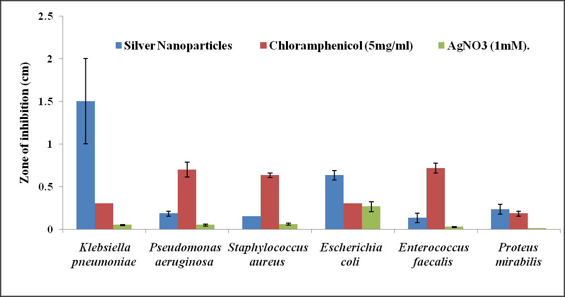 Figure 13: Showing the antibacterial activity of biosynthesized Silver Nanoparticles.