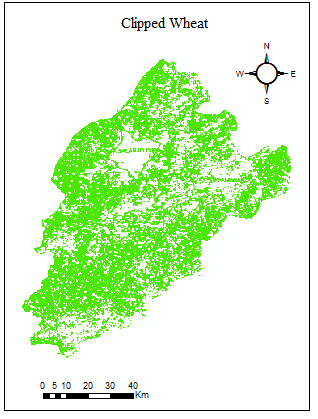 Figure 4: Map of clipped wheat class from LULC map.