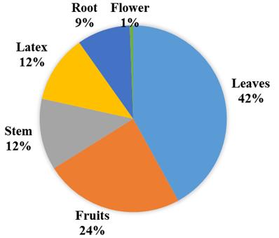 Figure 4: Condition of Preparation of Traditional Medicine.
