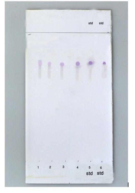 Figure 1: Thin Layer Chromatography of Cyclopiazonic Acid Standard separation by used direct spraying of the apparel Ehrlich's reagent.