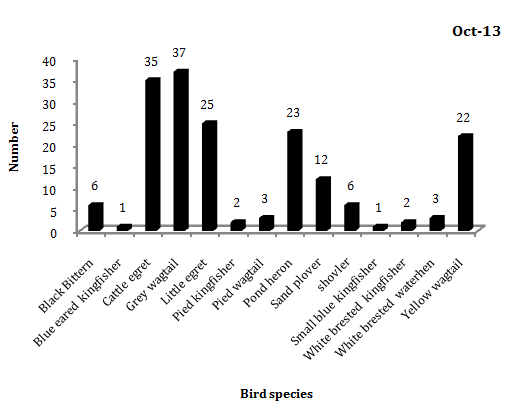 Figure 4: It shows that the water birds were seen mostly during November and least sighting during February. The Shannon index (H^) shows there is no much variation with the months. Likewise the dominance (D) within the month shaves a huge variation Table 4.