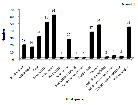 Figure 5: Bird species seen different ecosystem of villages in Gudalur region.