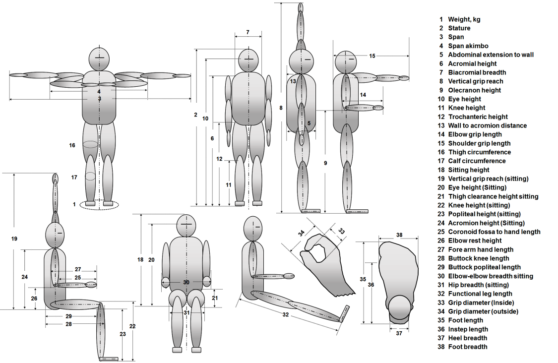 Figure 1: Anthropometric dimensions in standing and sitting postures.