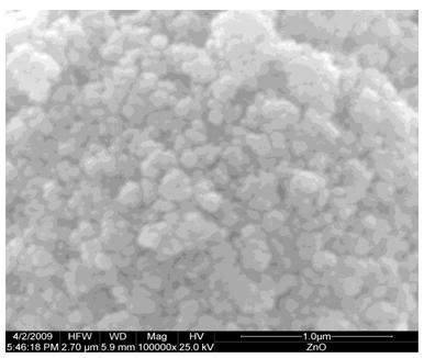 Figure 1: X-ray diffractogram of nanocrystalline ZnO thick film.