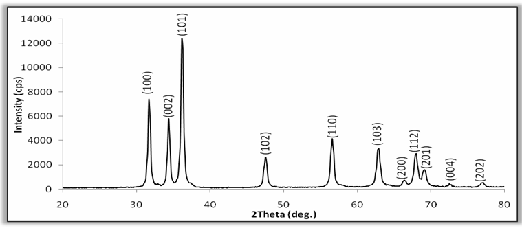 Figure 2: SEM images of the nanocrystalline ZnO thick film.