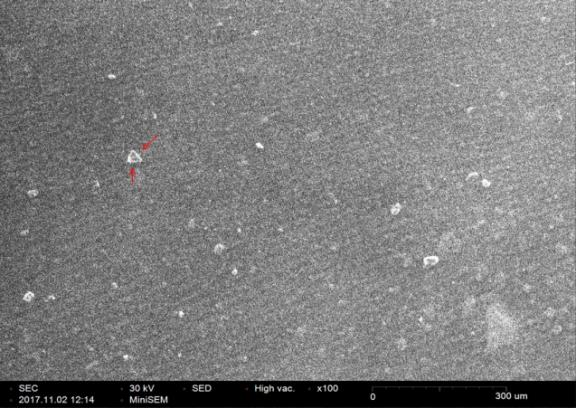 Figure 5: SEM image depicting morphology (Pyramidical) of synthesized silver nanoparticles.