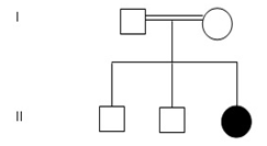 Figure 2: Pedigree chart showing consanguinity.