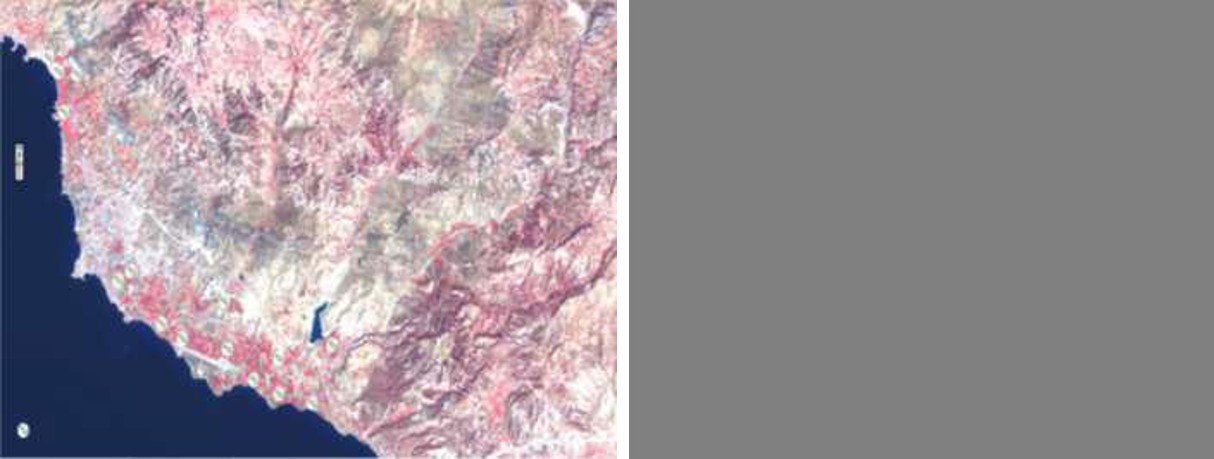 Figure 1: Area of interest. Plots under research are denoted in the Landsat 8 image.