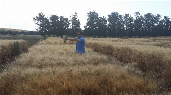 Figure 3: _In-situ_ spectroradiometric measurements.