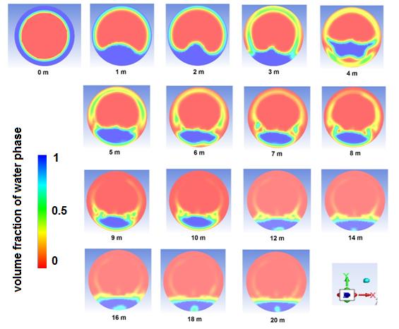 Figure 4: Volume fraction of water in the cross section of pipe at different distance from the pipe inlet.