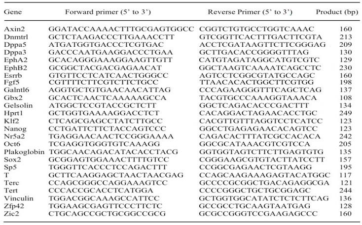 Figure 6: It seems that several b-catenin target genes have gatekeepers that prevent their transcription in the wrong context: here E-cadherin should be absent for Bry induction by β-catenin. Sp-5 is upregulated with E- cadherin, maybe to focus the β-catenin transcriptional program on mesoderm, while still blocking some other targets.