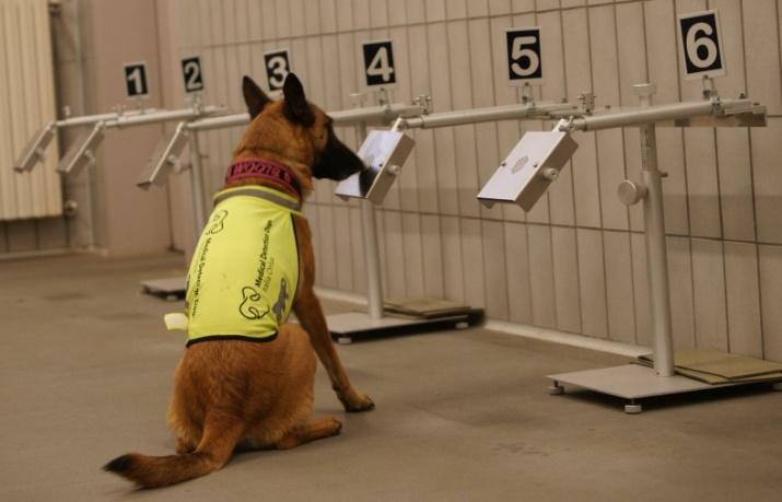 Figure 1: The training consisted of two sessions of six runs. In each run, samples tubes were selected to compose six-slot panels so that 1 sample of Group 1 and at least 1 sample of Group 2 were compared with samples of healthy subjects, possibly varying the identity of the donors. The positions of the samples were randomly changed throughout the successive trials; thus, the dog’s choices could not be driven by any memory interference. Moreover, since each dog carried out two sessions per day, at the end of each session the six-slot panels were changed and the sample station perfectly cleaned with a vapor machine. Dogs were asked to indicate the correct responses by sitting directly in front of the station containing the cancer sample.