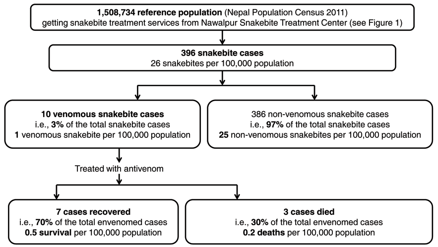Figure 2: Flow diagram showing vulnerable populations to snakebite and snakebite cases reported to Nawalpur Snakebite Treatment Center, Netragunj, Sarlahi District.