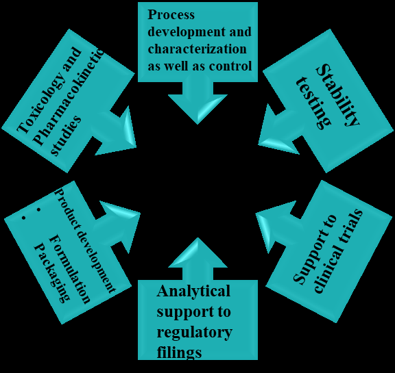 Figure 1: Role of the laboratory analyst in the development of a drug molecule.