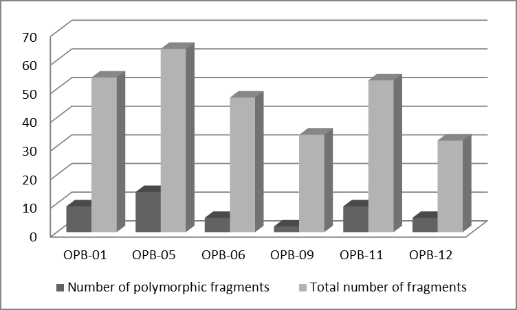 Figure 2: Effect of used primers in testing of genomic response to seed priming by cobalt-diglycyrrhizinate in seedling of wheat.