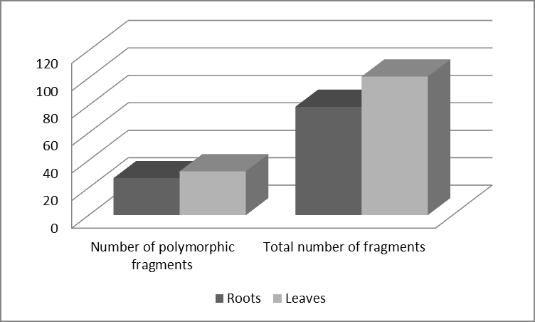 Figure 3: Genomic response of roots and leaves of wheat seedlings on seed priming by cobalt-diglycyrrhizinate.