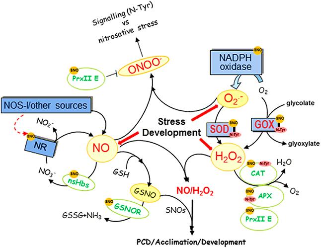 Figure 2: Complex interactive pathways with unlimited and intricate dimensions.
