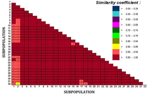 Figure 6: The PEM of 32 subpopulations of MRC based on numeric data type using the Jaccard coefficient approach.
