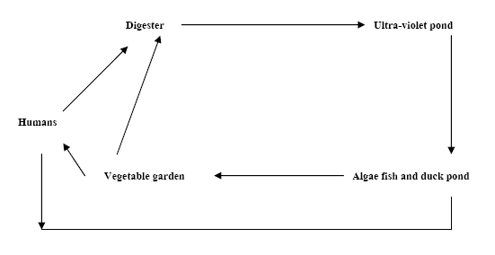 Figure 1: Biomass utilisation cycle concepts [14]. Combined heat and power (CHP) installations are quite common in greenhouses, which grow high-energy, input crops (e.g., salad vegetables, pot plants, etc.). Scientific assumptions for a short-term energy strategy suggest that the most economically efficient way to replace the thermal plants is to modernise existing power plants to increase their energy efficiency and to improve their environmental performance [15]. However, utilisation of wind power and the conversion of gas-fired CHP plants to biomass would significantly reduce the dependence on imported fossil fuels. Although a lack of generating capacity is forecasted in the long- term, utilisation of the existing renewable energy potential and the huge possibilities for increasing energy efficiency are sufficient to meet future energy demands in the short-term [15]. A total shift towards a sustainable energy system is a complex and long process, but is one that can be achieved within a period of about 20 years. Implementation will require initial investment, long-term national strategies and action plans. However, the changes will have a number of benefits including a more stable energy supply than at present and major improvement in the environmental performance of the energy sector, and certain social benefits (Figure 2). A vision that used methodologies and calculations based on computer modelling can utilised: • Data from existing governmental programmes.