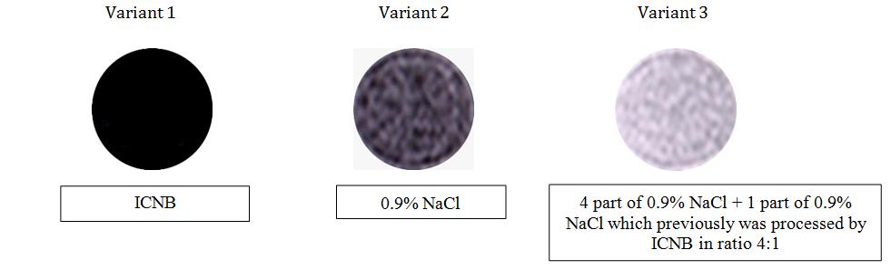 Figure 2: Study of magnetite nanoparticles with use microscope electronic translucent JEM-2100