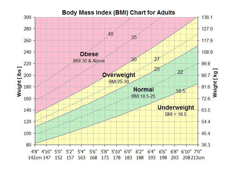 Figure 3: Body Mass Index (BMI) Chart for Adults.
