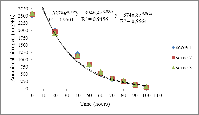 Figure 4: Behavior of temporal variations of ammoniacal nitrogen concentrations in experiment 1.