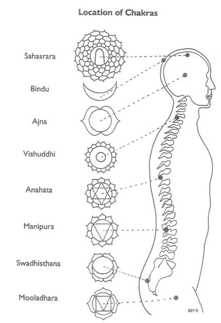 Figure 2: Location of chakras.