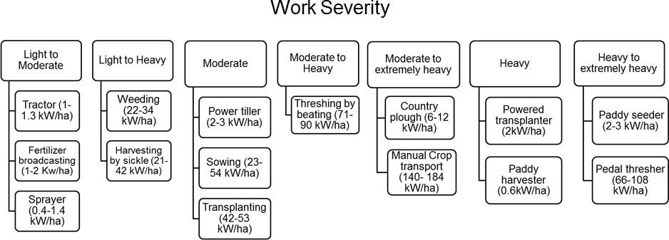 Figure 2: Classification of work severity involved in different rice farming activity.