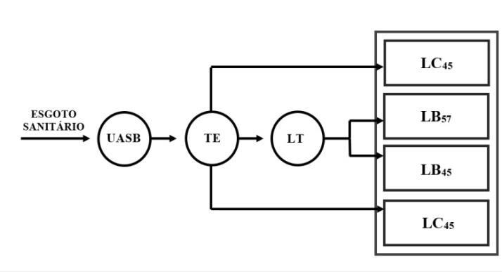 Figure 1: Diagram of the experimental system of the wastewater treatment with polishing ponds used in the study (Campina Grande / PB, January to July 2015).