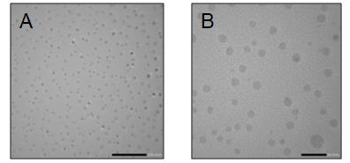 Figure 1: TEM images of the synthesized nanoparticles taken at (A) 80,000x and (B) 300,00x magnification.