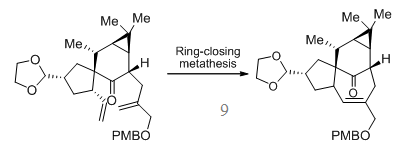 Figure 12: Scheme 8.