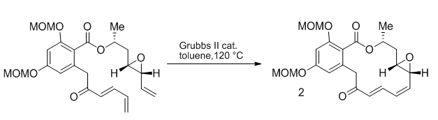 Figure 18: Scheme 14.
