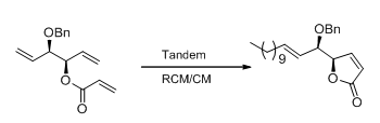 Figure 7: Scheme 3.