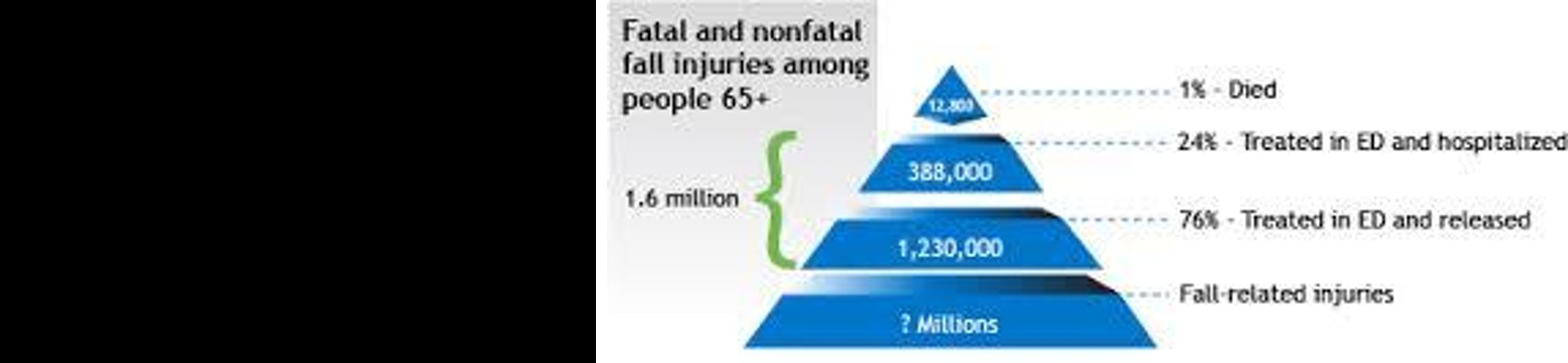 Figure 2: Fall Related Injuries (Source: Centre Of Excellence for Falls Prevention).