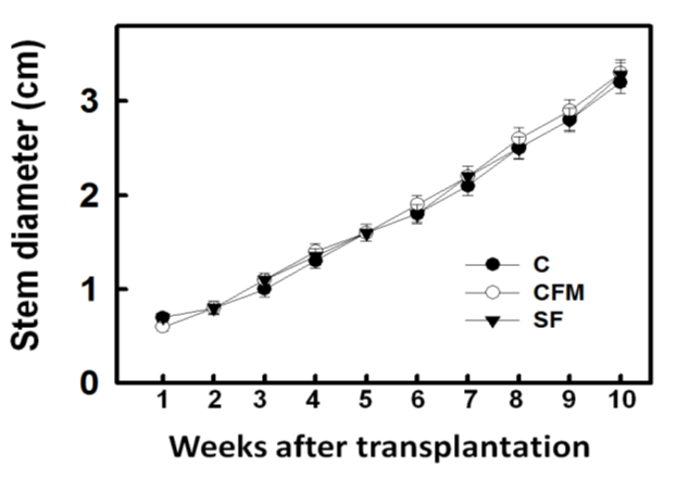 Figure 2: Effects of different fertilizer applications on the stem diameter of maize. Maize seedlings were grown in a greenhouse for 2 weeks, then transplanted to the experimental area, which included compost (C), compost added far-infrared material (CFM), and synthetic fertilizer (SF). The vertical line on each bar indicates the standard error for three replicates. Bars show means ± SE. *, which represent values that are significant at P0.05. According to the aforesaid results, while the compost of chicken manure with far-infrared material can promote the growth of maize, the effect of promoting the maize stalk width is not obvious.