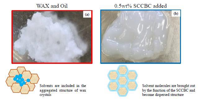 Figure 9: Out looks of the samples at 35ºC. (a): Original WAX and Oil system, (b): 0.5wt% SCCBC added to original system. Lower illustrates are schematic image of each wax crystal and oil structure.