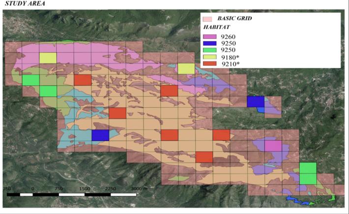 Figure 1: Study Area: quadrants are divided by Habitats, and represent the Sample Units (UC), where transepts start.