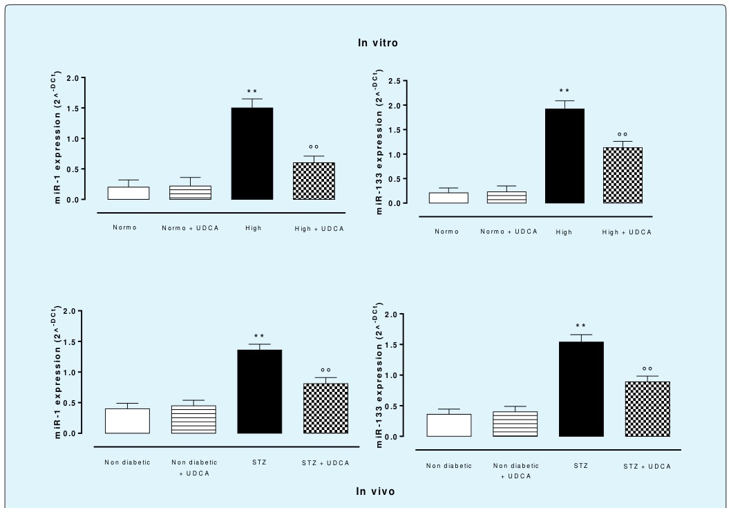 Figure 4: UDCA reduces the apoptosis caused by high glucose into the rat hearts. Panels A-C, western blottings and relative densitometric units of Caspase, Caspase-9 in rat hearts perfused with 11.1 mmol D-glucose (Normo), 33.3 mmol D-glucose (High) and pre-treated or not with ursodeoxycholic acid (UDCA, 150 mg/kg). Depicted are the graphs, in densitometric units expressed as the mean±s.e.m. of n=5 hearts per group. Significance is expressed as **P < 0.01 vs Normo; °P < 0.05 vs High; °°P < 0.01 vs High.