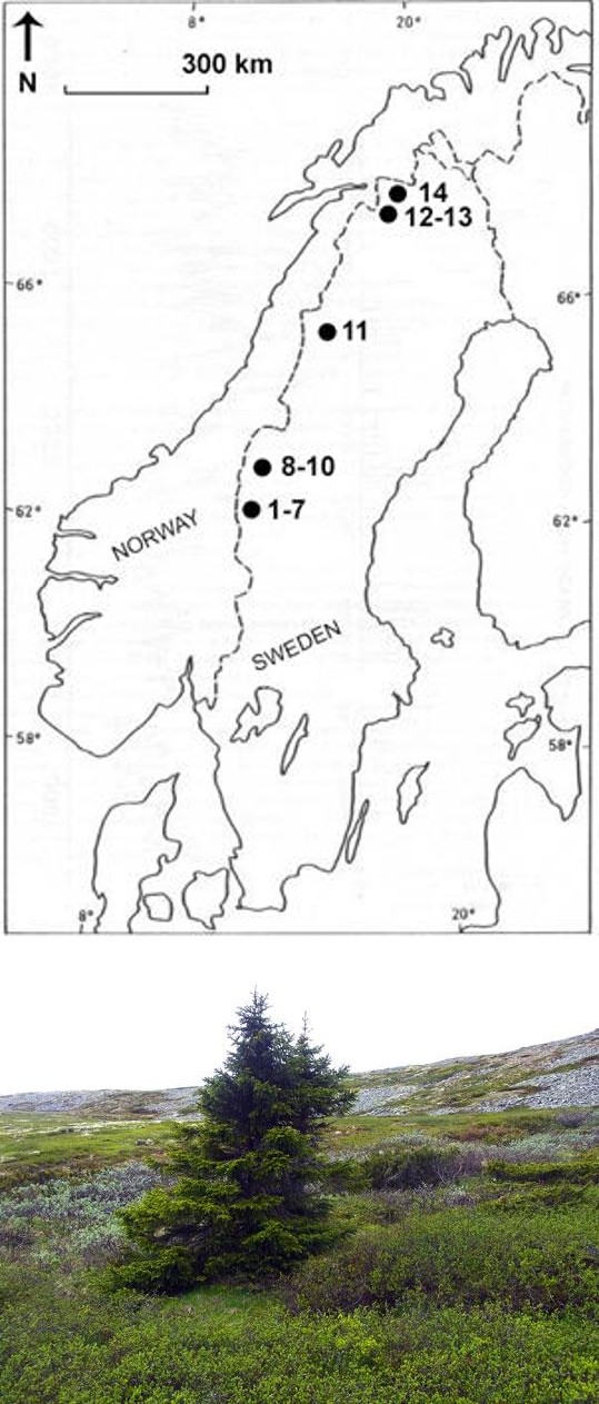 Figure 2: Location of study sites along the Swedish Scandes. Numbers refer to site histories (see Results).