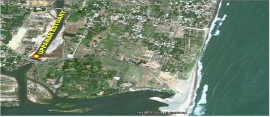Figure 1: Shows study area Uppanar Estuary, South East Coast of India.