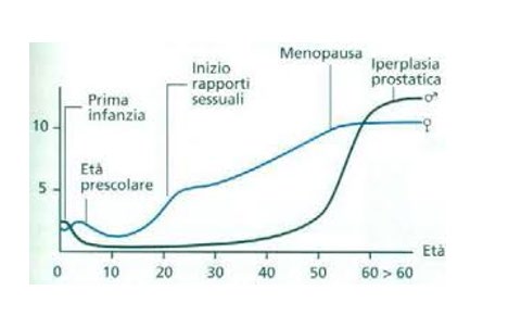 Figure 8: Urofluxometry.