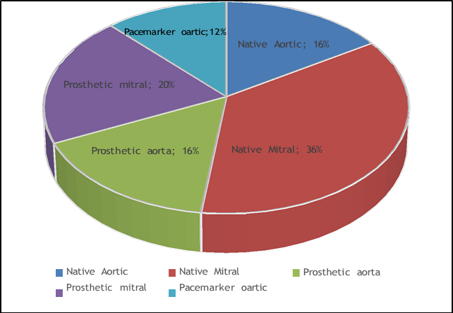 Figure 1: Distribution of the studied patients regarding valve affected.